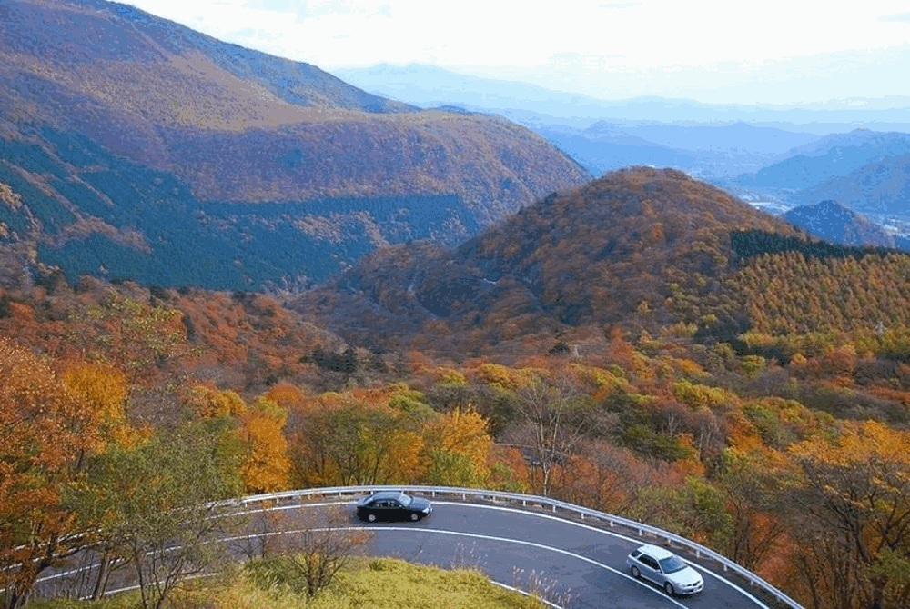 M&ugrave;a thu Nhật Bản